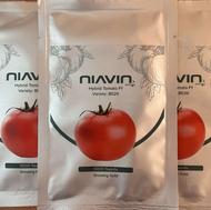 بذرگوجه8020،رقم هیبرید با عملکرد 180تن مشابه گوجه 8320