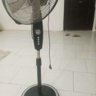 پنکه نانیوا