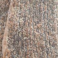 نیروی خانم ساده