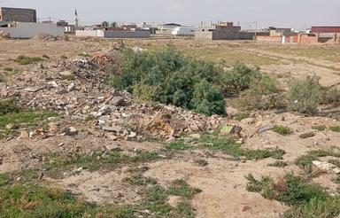 زمین تک برگ سند بر جاده