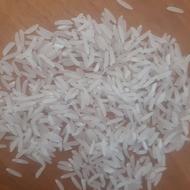 فجر سوزنی و لاشه