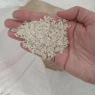 برنج طارم هاشمی دوکشت فوق العاده