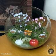 فروش 100عدد تنگ ماهی با هفت سین