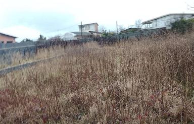 فروش زمین مسکونی 150متر،[داخل بافت]واقع در جاده دریا،