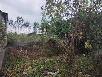 فروش زمین مسکونی پلت کله