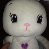 خرگوش 4عدد جنسیت معلوم نیست