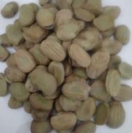 باقلا خشک سه بند