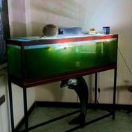 شیشه آکواریوم