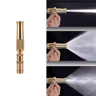 کارواش برنجی