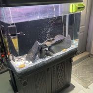 اکواریوم نو