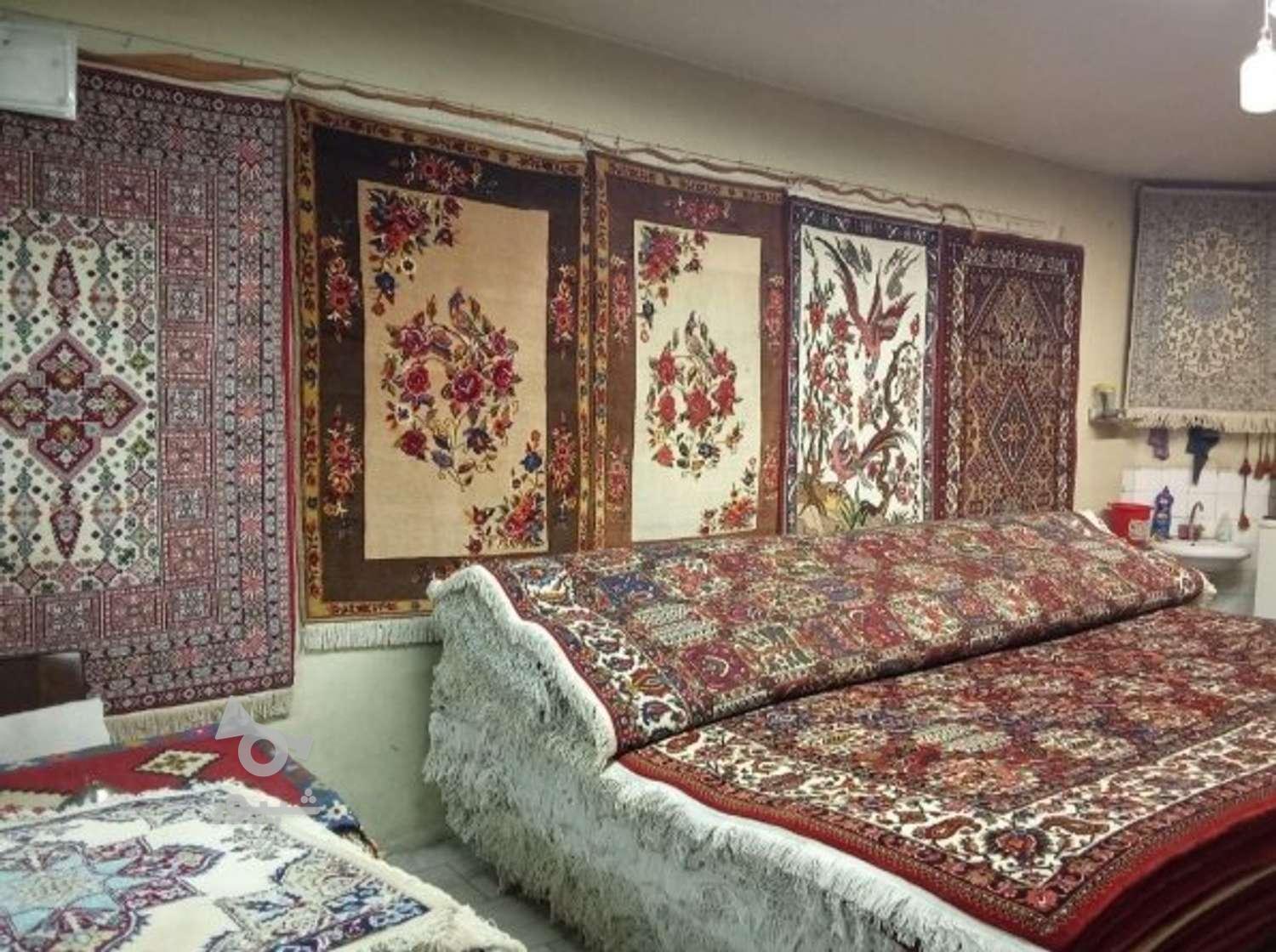 قالیشویی عدالت پردیس