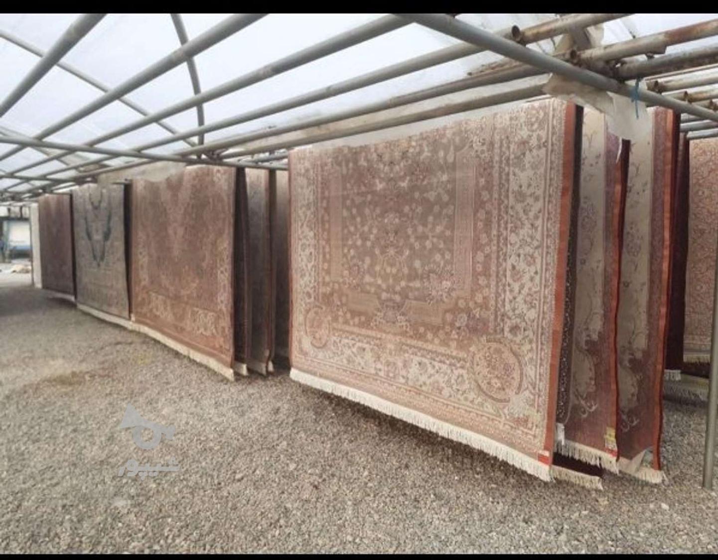 قالیشویی عدالت پردیس