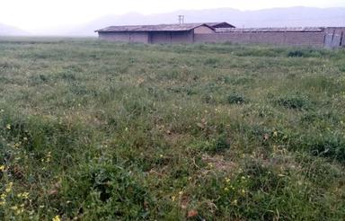 فروش زمین مناسب برای طرح و خونه باغ