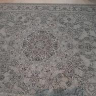 فرش 700شانه 6متری نو