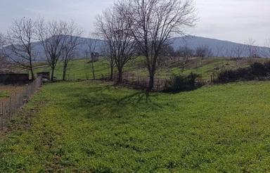 زمین ویلایی جاده دودانگه در پنج پلاک مختلف