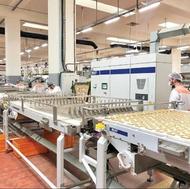 تولید و بسته بندی کیک و کلوچه