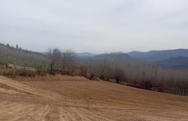 فروش زمین کشاورزی 15000 متر در کلیجان رستاق