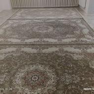 فرش نگین مشهد