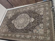 فرش 6متری زیبا در شیپور