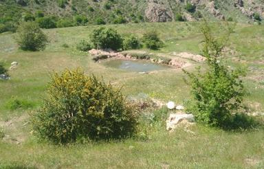 فروش فوری زمین در شوراب سوادکوه