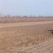 زمین کشاورزی