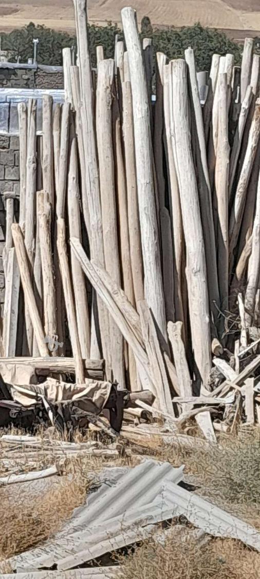 خریدار چوب.،.درخت