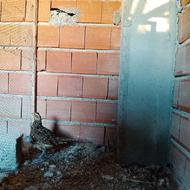 طاووس ماده هندی دوساله مرغ لهستانی و ماده ریورز