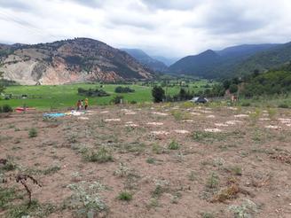 فورش فوووووری زمین در چهاردانگه