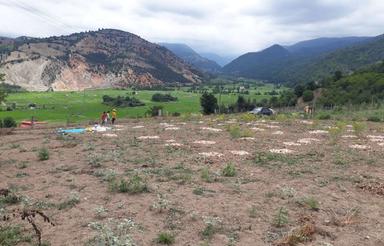 فورش فوووووری زمین در چهاردانگه