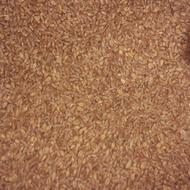 گندم پیشگام.