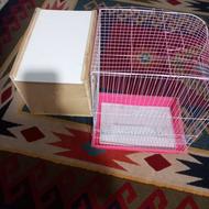 فروش قفس عروس هلندی