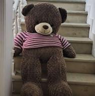 خرس تدی دو متری اصل