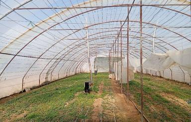 سازه گلخانه