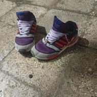 کتونی سیمسون zx