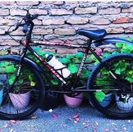 دوچرخه 26 خوشرنگ