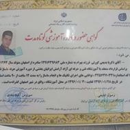 ماساژدرمانی سیار