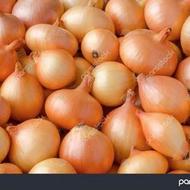 پیاز لوکس زرد داخل کارتن