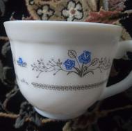 ارکوپال امارات