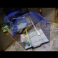 قفس پرنده نو