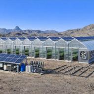 گلخانه سازی صنعتی