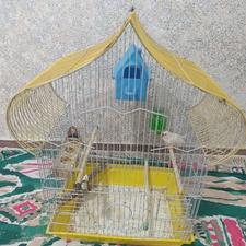 قفس خوش رنگ و طرح دار