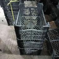 سبد سازی بهار نارنج