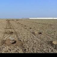 کندن چاله درخت وجای ستون باغی با تراکتور