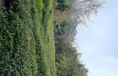 زمین 348 متری با ویو عالی