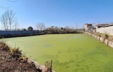 فروش زمین با ابندان جذاب قادیکلا