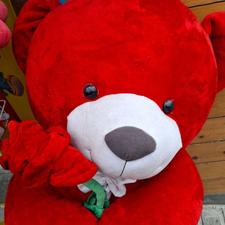 عروسک خرس 2 متری ولنتاینی