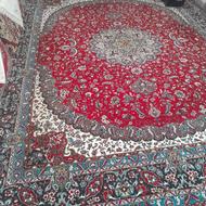 فرش 12 متری بدون سوختگی و پارگی