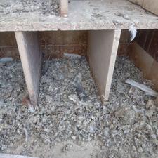 کود کفتر تمیز