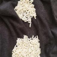 برنج طارم هاشمی