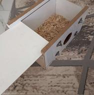 لانه پرنده عروس هلندی یا مرغ عشق